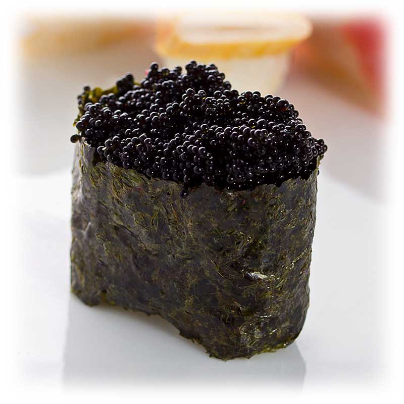 Tobikko Black 500 GM Japan