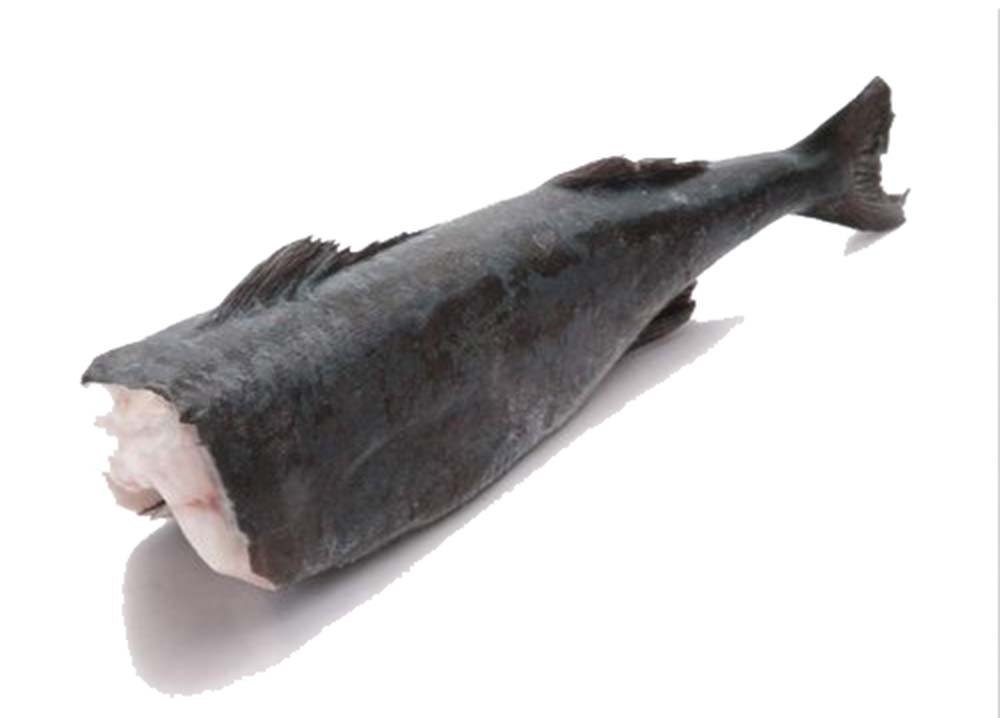 Black COD Block Approx. 2.5 Kilogram Japan