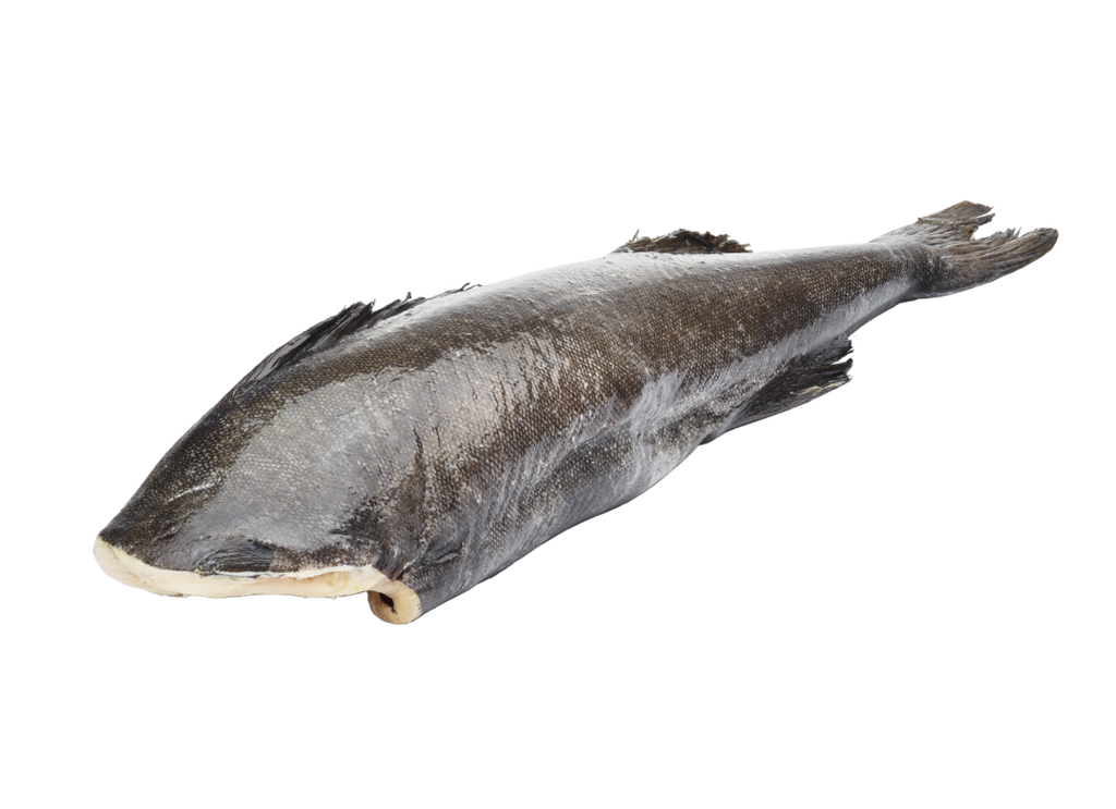 Black COD Block Approx. 2.5 Kilogram Japan