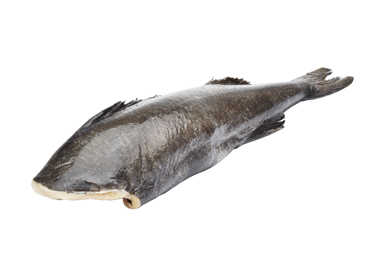 Black COD Block Approx. 2.5 Kilogram Japan