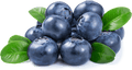 Imported Blue Berry 1 kilogram USA