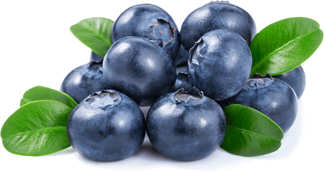 Imported Blue Berry 1 kilogram USA