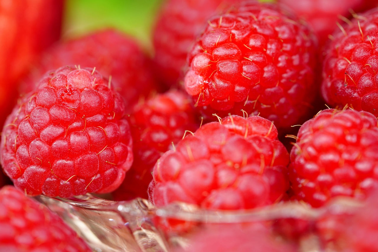 imported Raspberries 1 Kilogram USA